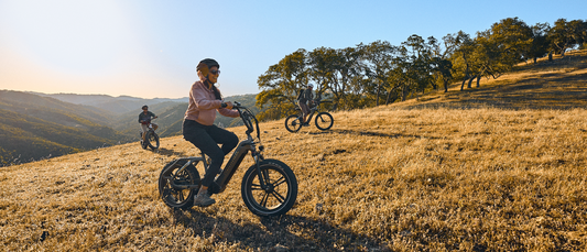 Was macht E-Bikes so teuer