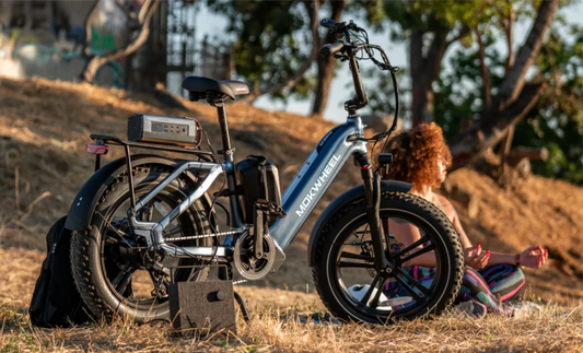 Mokwheel - bestes elektrofahrrad