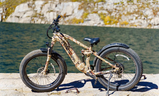 Wie viel kostet ein Elektrofahrrad? Worauf sollte man beim Kauf eines Elektrofahrrads achten?