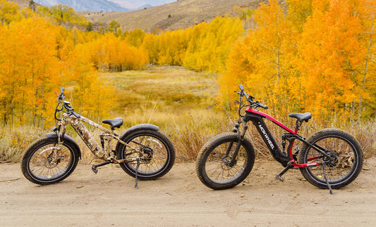 Hardtail vs. Full Suspension E-Bike: Welches soll es sein?