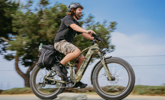 die neuesten Angebote