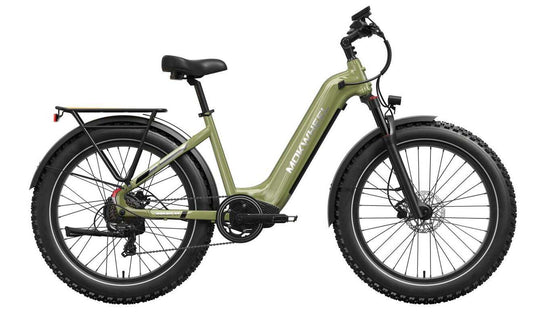 Basalt ST 2.0 - elektrofahrrad mountainbike