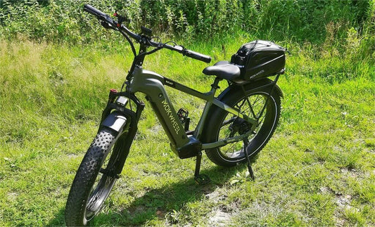 Follow the tracks of the green light: E-bikes and the environment