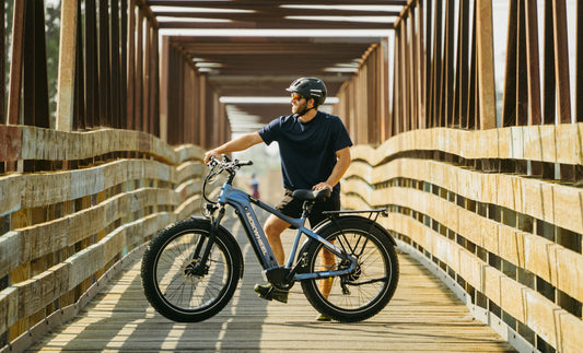 Mokwheel Basalt - all-terrain e-bike