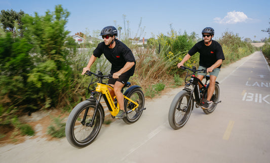 Mokwheel Obsidian - die besten elektrofahrräder