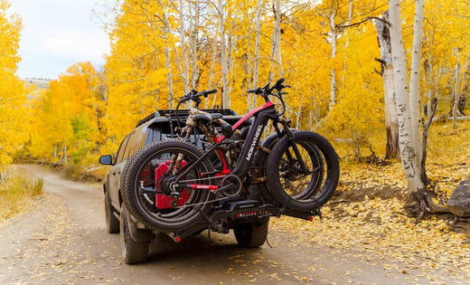 Mokwheel Obsidian - pedelec elektrofahrrad