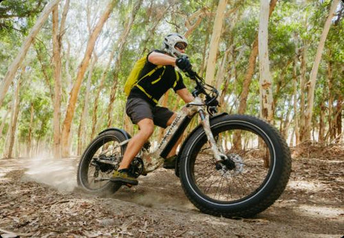 Off-Road Ebike