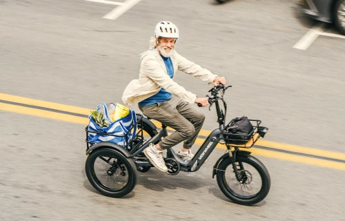 Electric Tricycle