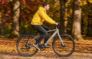 Lightweight electric bike