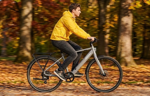 Lightweight electric bike