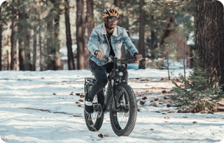 Fat Tire E-Bikes