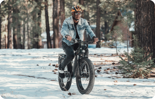 Fat Tyre E-bike
