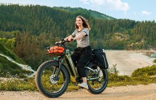 Ladies electric bike