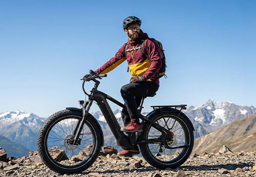 Fat Tyre E-bike
