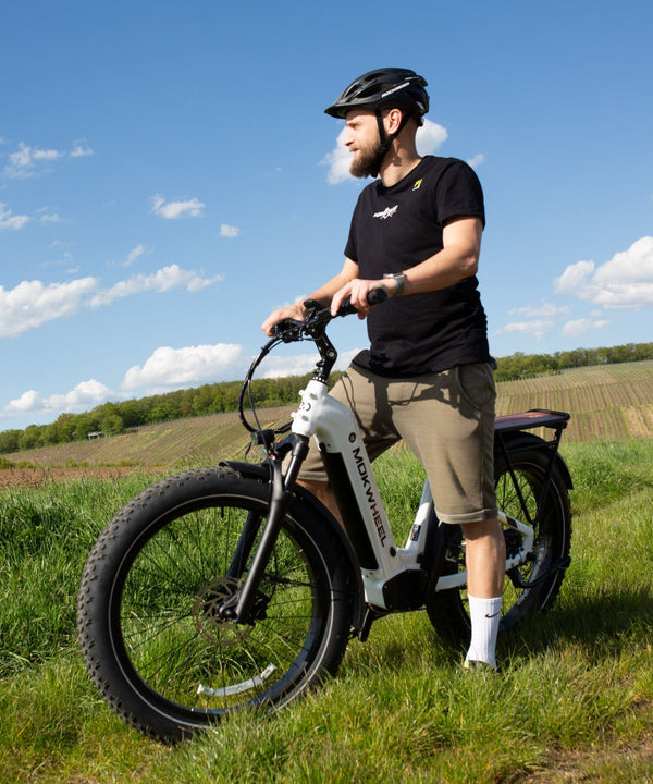 Low Step E-Bikes