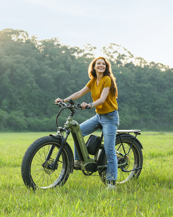 Ladies electric bike