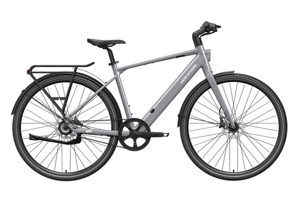 FLINT PROL / Gray