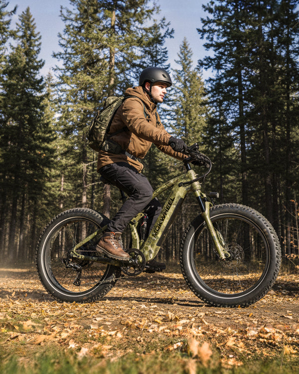 Electric off road bike