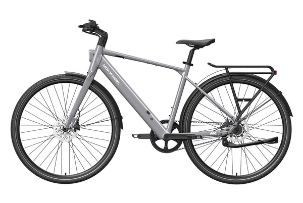 FLINT PROL / Gray