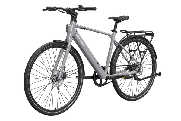 FLINT PROL / Gray