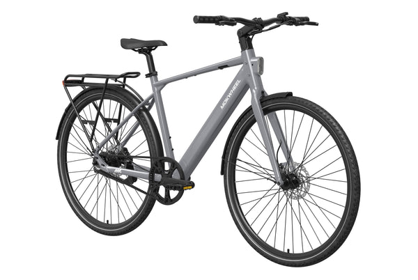 FLINT PROL / Gray