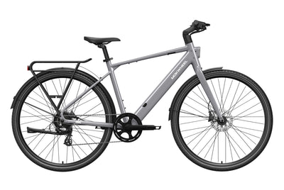 FLINT - M / Gray