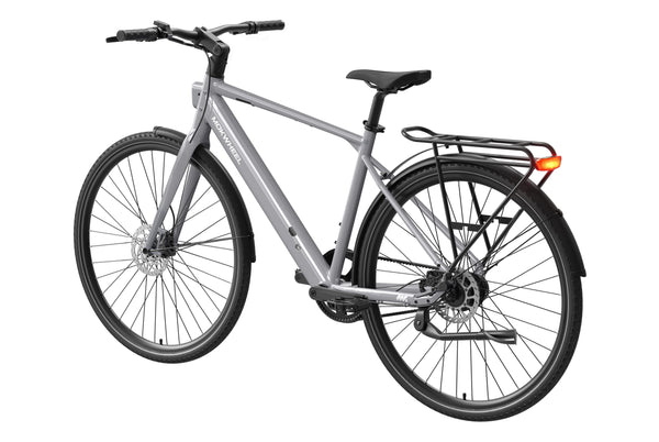 FLINT PROL / Gray