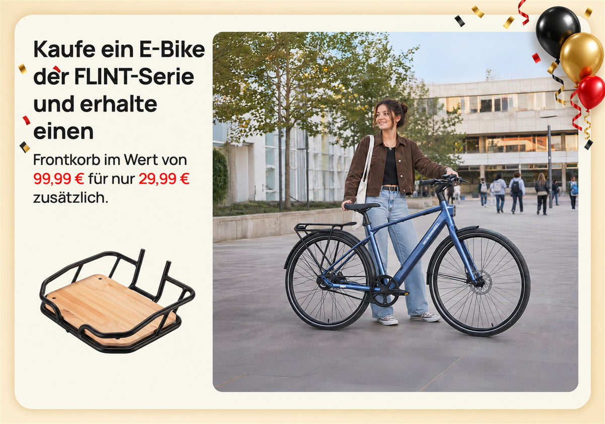 FLINT – Exclusive Accessory Offers