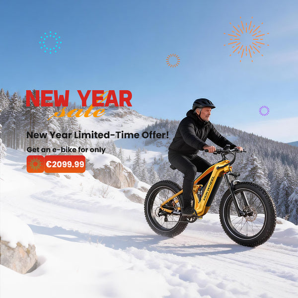 Fat tyre electric bike