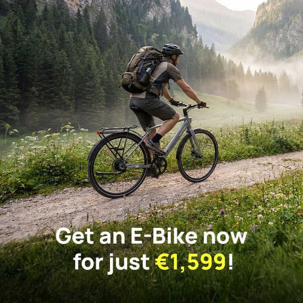 Full suspension ebike