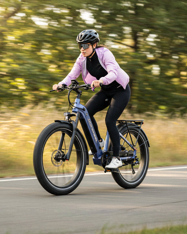 Ladies electric bike